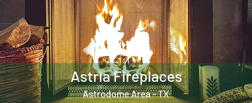Astria Fireplaces Astrodome Area - TX