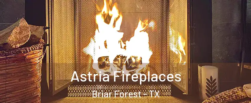 Astria Fireplaces Briar Forest - TX