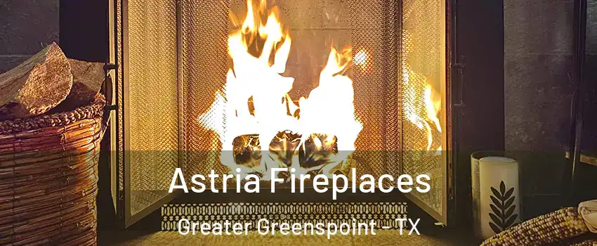 Astria Fireplaces Greater Greenspoint - TX