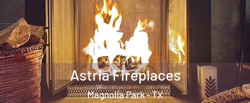 Astria Fireplaces Magnolia Park - TX