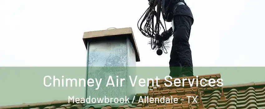 Chimney Air Vent Services Meadowbrook / Allendale - TX
