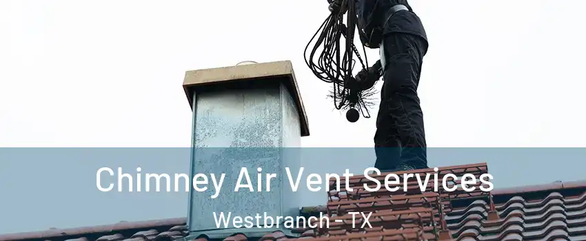 Chimney Air Vent Services Westbranch - TX