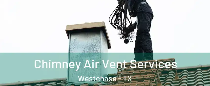 Chimney Air Vent Services Westchase - TX