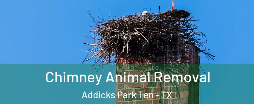 Chimney Animal Removal Addicks Park Ten - TX