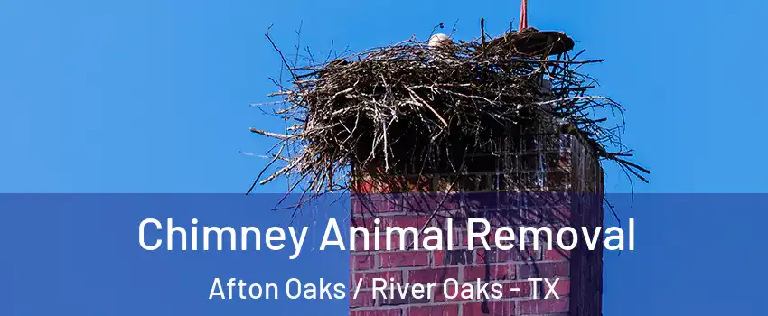 Chimney Animal Removal Afton Oaks / River Oaks - TX