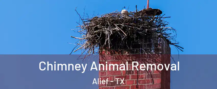 Chimney Animal Removal Alief - TX