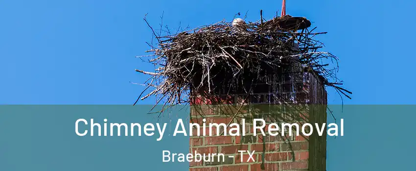 Chimney Animal Removal Braeburn - TX
