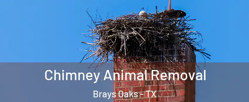 Chimney Animal Removal Brays Oaks - TX