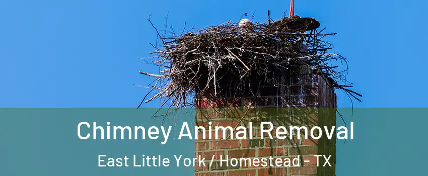 Chimney Animal Removal East Little York / Homestead - TX