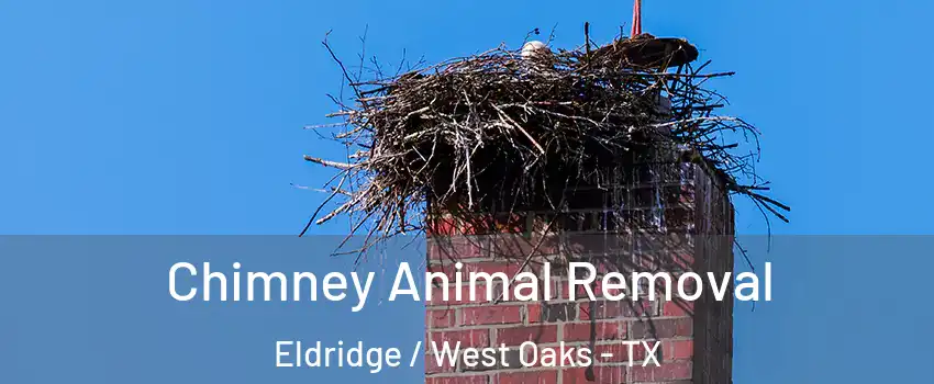 Chimney Animal Removal Eldridge / West Oaks - TX