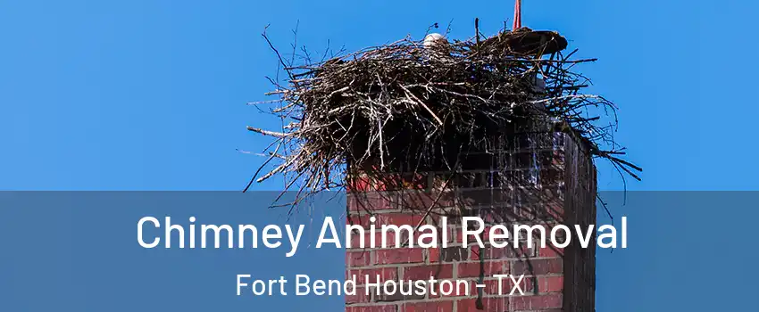 Chimney Animal Removal Fort Bend Houston - TX
