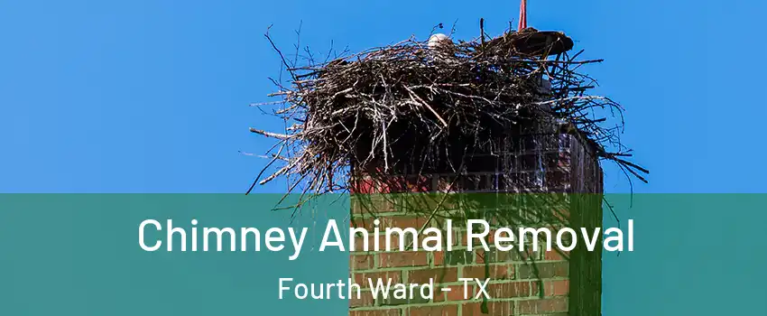 Chimney Animal Removal Fourth Ward - TX