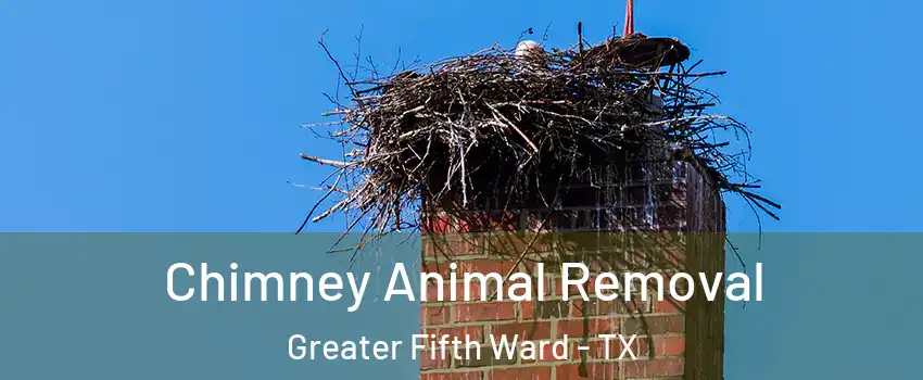 Chimney Animal Removal Greater Fifth Ward - TX