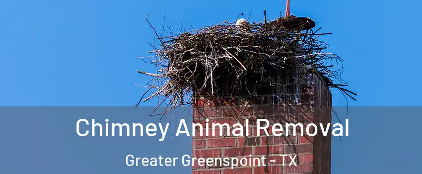 Chimney Animal Removal Greater Greenspoint - TX