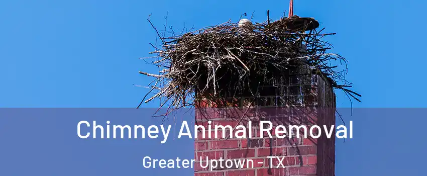 Chimney Animal Removal Greater Uptown - TX