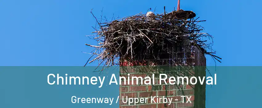Chimney Animal Removal Greenway / Upper Kirby - TX