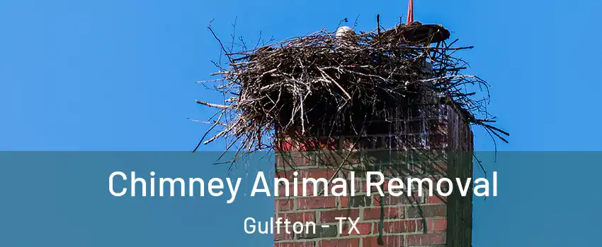 Chimney Animal Removal Gulfton - TX