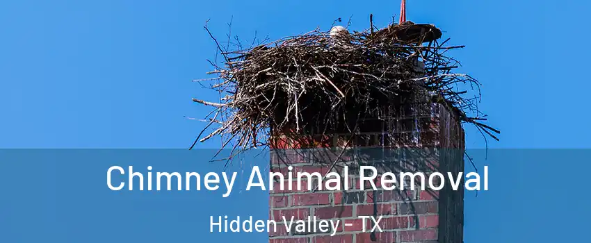 Chimney Animal Removal Hidden Valley - TX