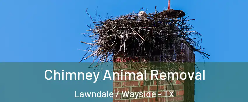 Chimney Animal Removal Lawndale / Wayside - TX