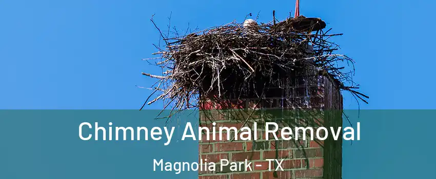 Chimney Animal Removal Magnolia Park - TX
