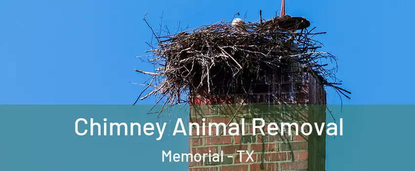 Chimney Animal Removal Memorial - TX
