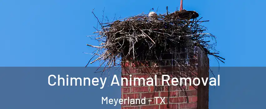 Chimney Animal Removal Meyerland - TX