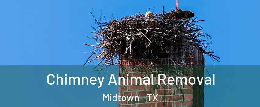 Chimney Animal Removal Midtown - TX