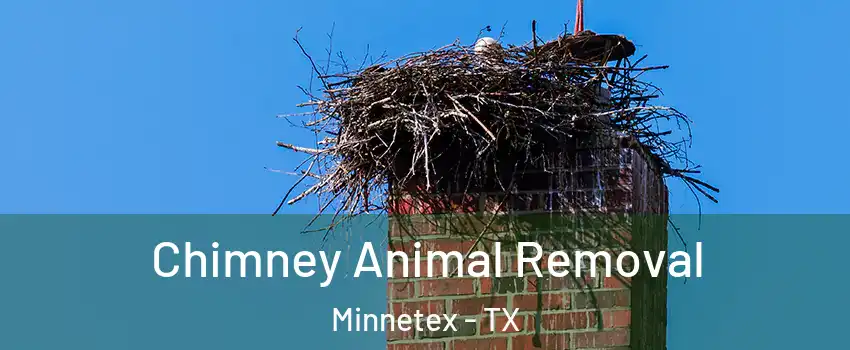 Chimney Animal Removal Minnetex - TX
