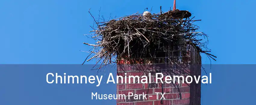 Chimney Animal Removal Museum Park - TX