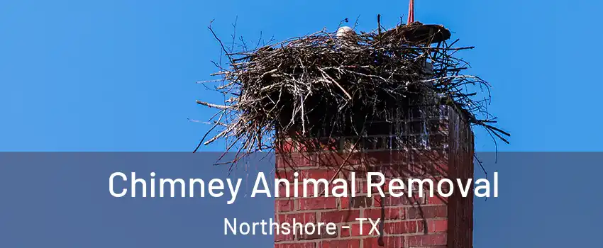 Chimney Animal Removal Northshore - TX
