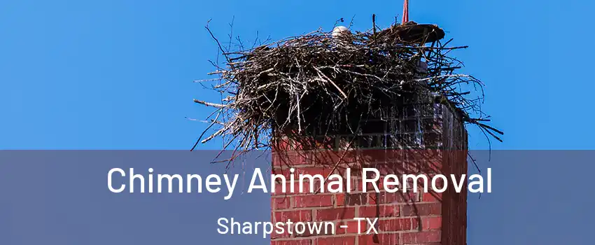 Chimney Animal Removal Sharpstown - TX