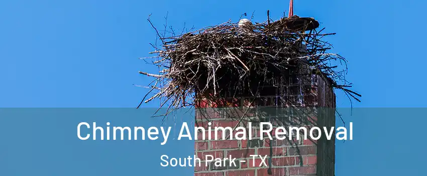 Chimney Animal Removal South Park - TX
