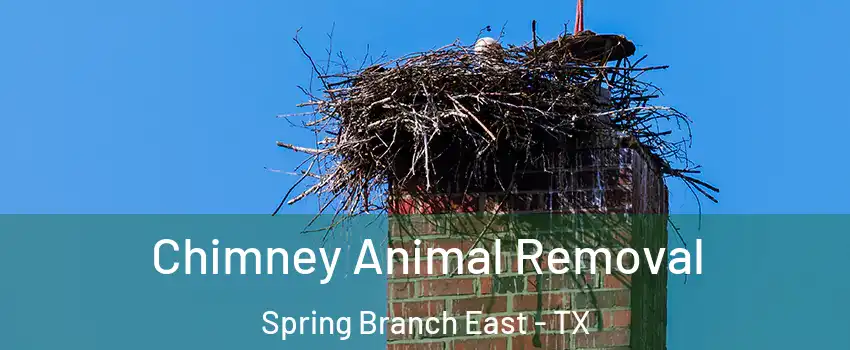 Chimney Animal Removal Spring Branch East - TX