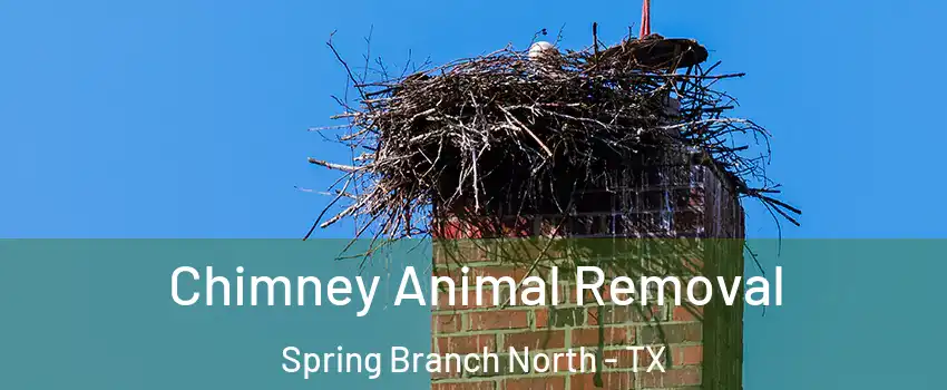 Chimney Animal Removal Spring Branch North - TX