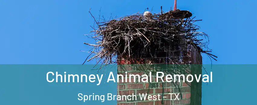 Chimney Animal Removal Spring Branch West - TX