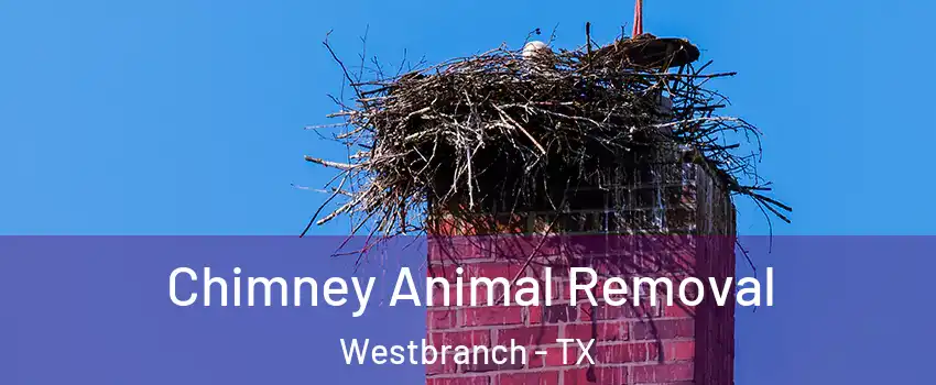 Chimney Animal Removal Westbranch - TX