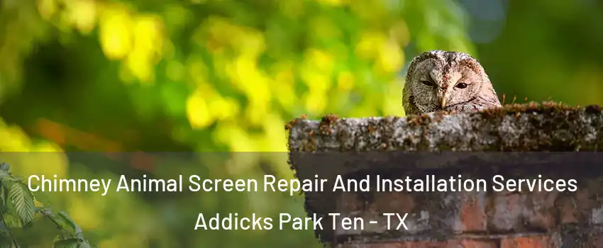 Chimney Animal Screen Repair And Installation Services Addicks Park Ten - TX