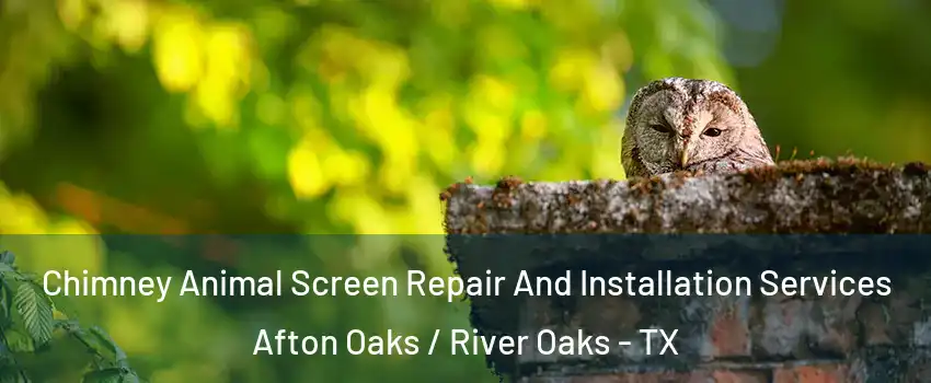 Chimney Animal Screen Repair And Installation Services Afton Oaks / River Oaks - TX