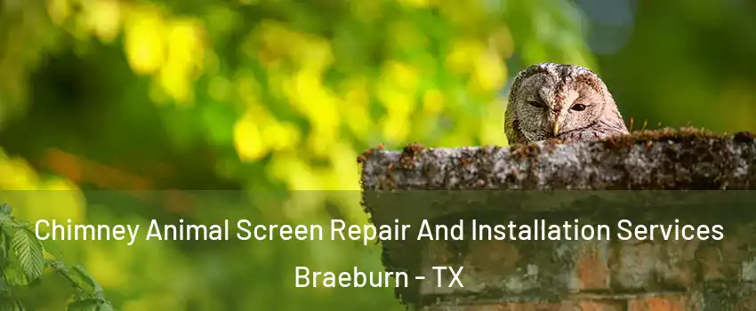 Chimney Animal Screen Repair And Installation Services Braeburn - TX