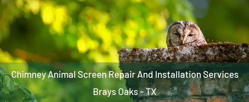 Chimney Animal Screen Repair And Installation Services Brays Oaks - TX