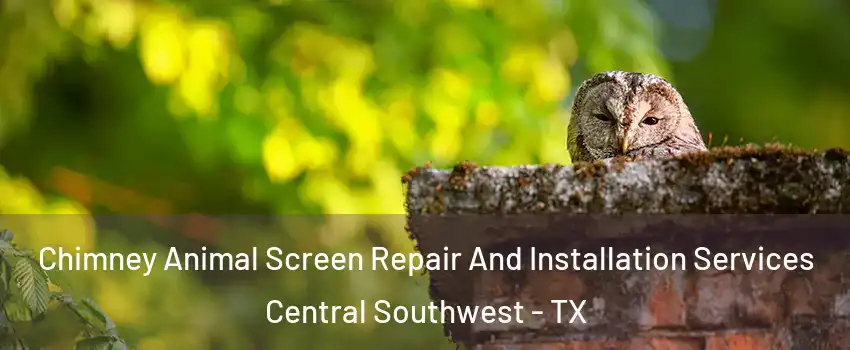 Chimney Animal Screen Repair And Installation Services Central Southwest - TX