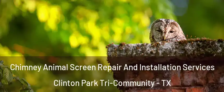 Chimney Animal Screen Repair And Installation Services Clinton Park Tri-Community - TX