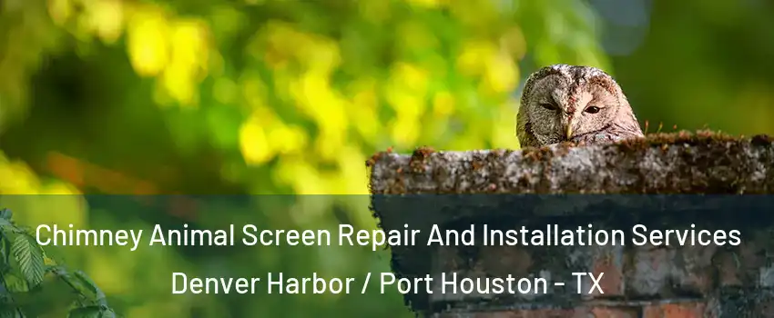 Chimney Animal Screen Repair And Installation Services Denver Harbor / Port Houston - TX