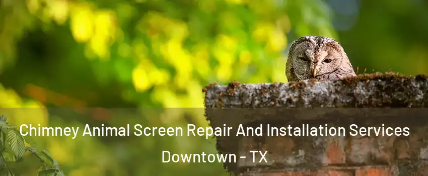 Chimney Animal Screen Repair And Installation Services Downtown - TX