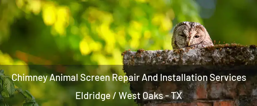 Chimney Animal Screen Repair And Installation Services Eldridge / West Oaks - TX