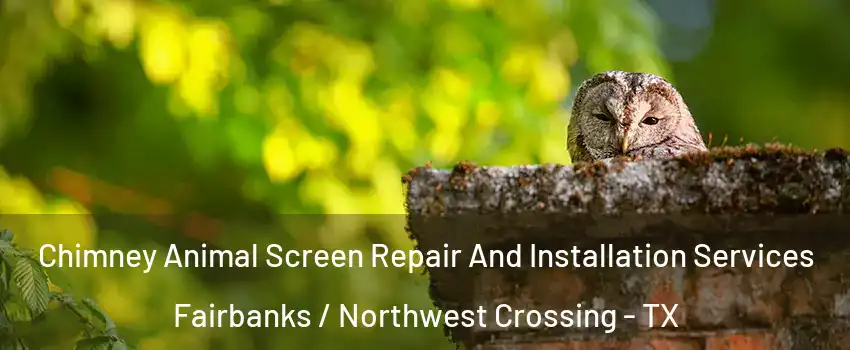 Chimney Animal Screen Repair And Installation Services Fairbanks / Northwest Crossing - TX