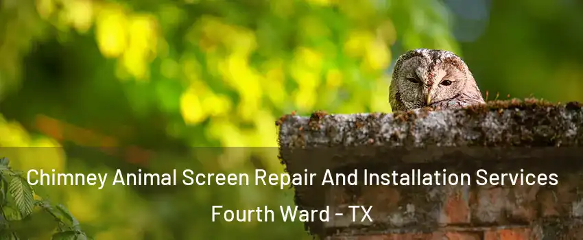 Chimney Animal Screen Repair And Installation Services Fourth Ward - TX