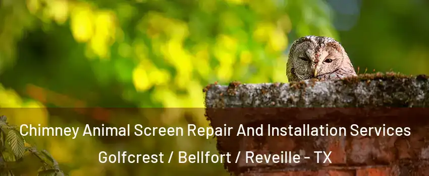 Chimney Animal Screen Repair And Installation Services Golfcrest / Bellfort / Reveille - TX