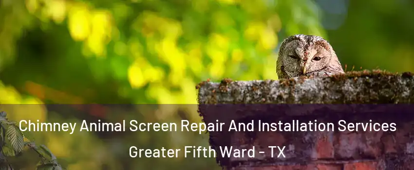 Chimney Animal Screen Repair And Installation Services Greater Fifth Ward - TX
