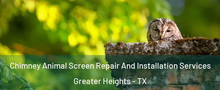 Chimney Animal Screen Repair And Installation Services Greater Heights - TX